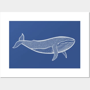 Humpback Whale - hand drawn marine animal design Posters and Art